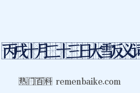 丙戌十月二十三日大雪反义词是什么意思的图片